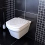 Сиденье Roca Dama N softclose (A80178C004) 1  в интернет магазине сантехники Legres.com.ua