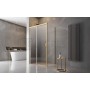 Душова кабіна Radaway Idea KDJ 100x200,5 скло прозоре, gold ліва (387040-09-01L) 5  в інтернет магазині сантехніки Legres.com.ua