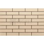 Плитка клинкерная CERRAD Cream 65х245 мм (5903263449720) в интернет магазине сантехники Legres.com.ua