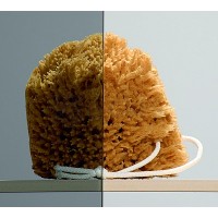 Душевая кабина Radaway Almatea PDD/E 90x80 стекло прозрачное (30532-01-01N)