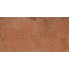 Плитка для підлоги Rako Siena 22,5x45 (DARPP665)