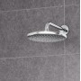 Верхний душ Grohe Tempesta 250, 1 режим струи, хром (26668000) 16  в интернет магазине сантехники Legres.com.ua